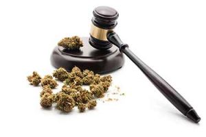 New Jersey Marijuana Laws