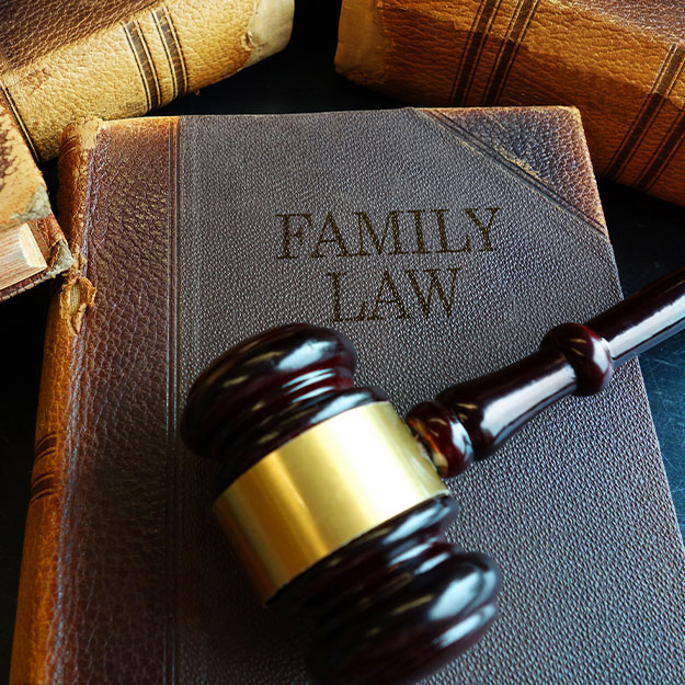 Family Law book with legal gavel