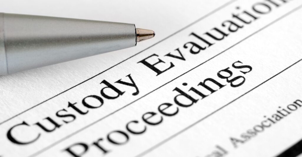 custody evaluation proceedings document