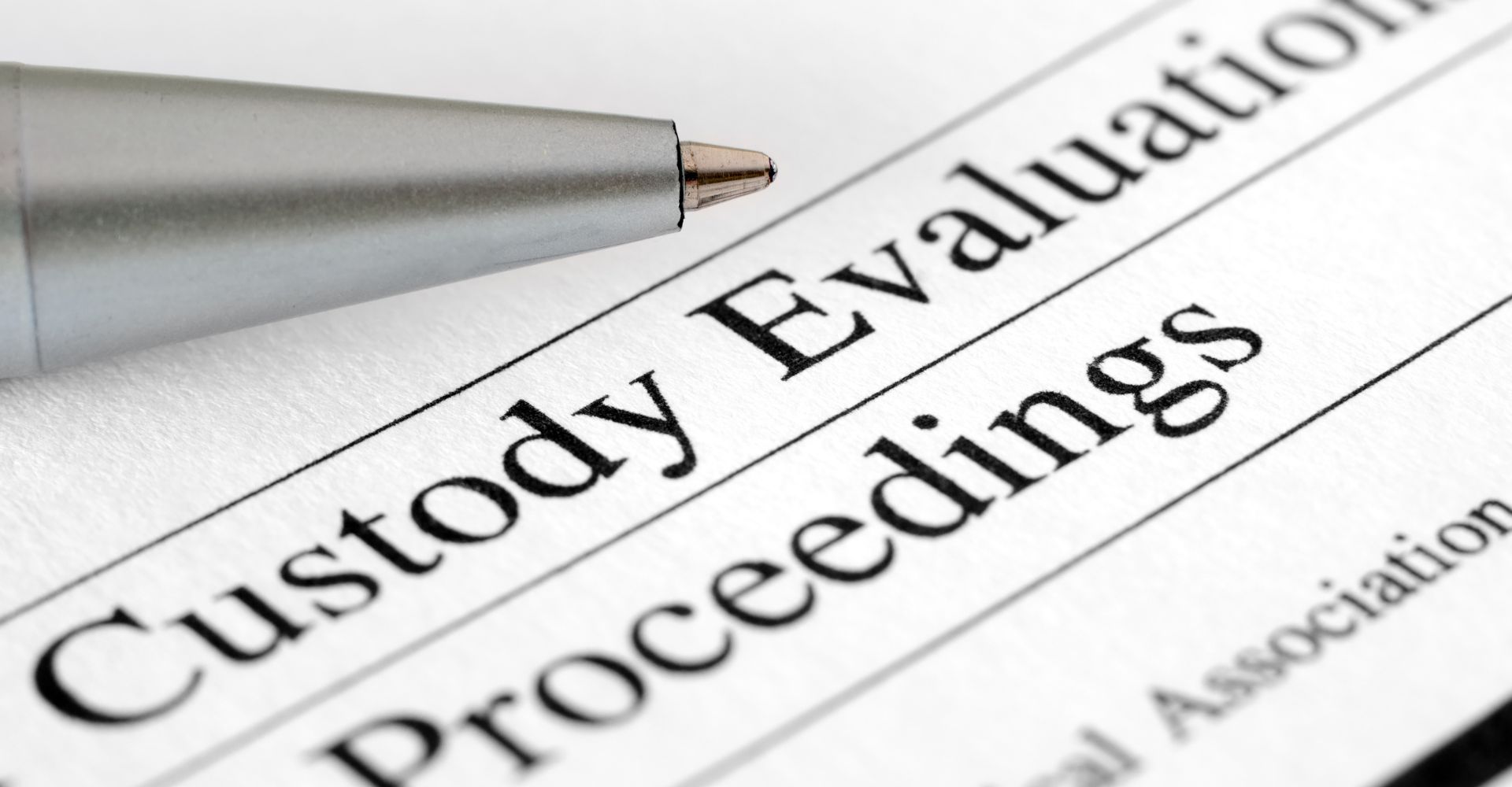 custody evaluation proceedings document