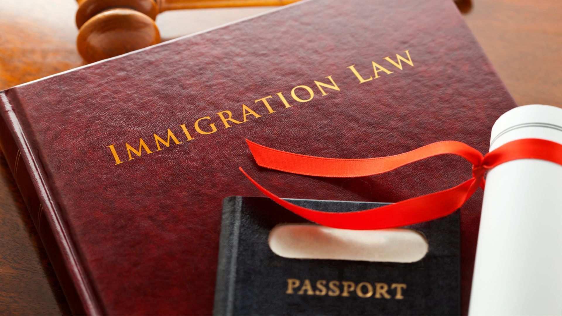 immigration law book